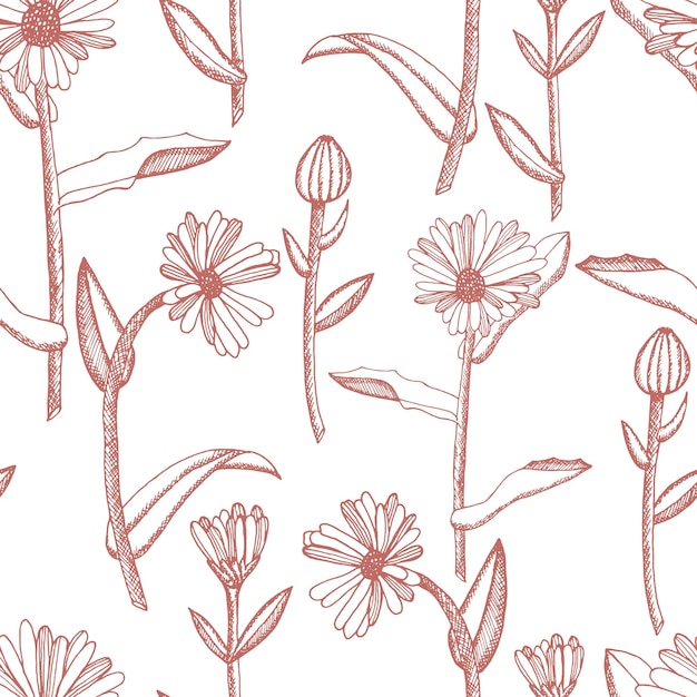 Flower Calendula Seamless pattern Sketch of a set of medicinal herbs