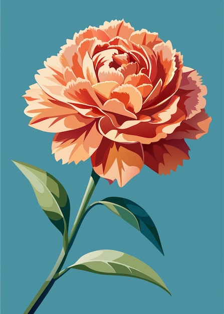 flower carnation vector illustration flat 2