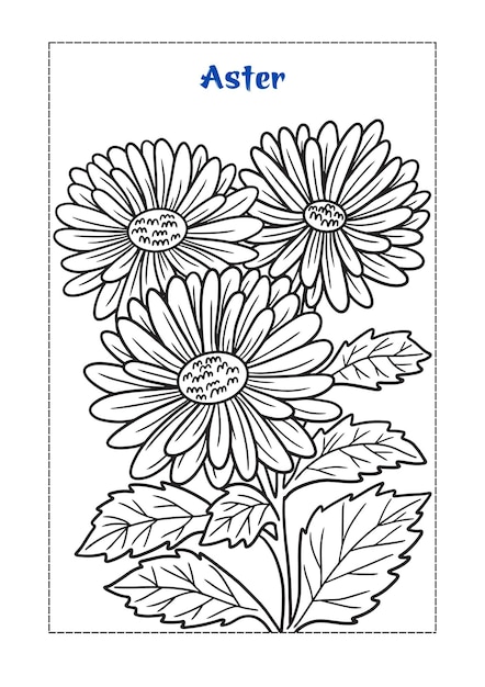 Flower Coloring Book