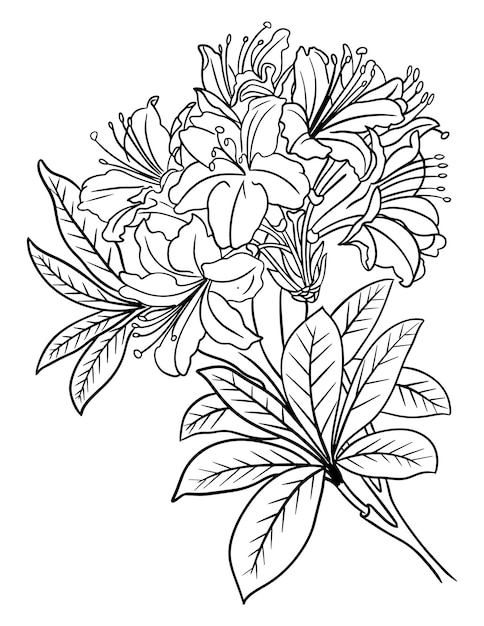 Flower coloring page line art vector blank printable design to fill in