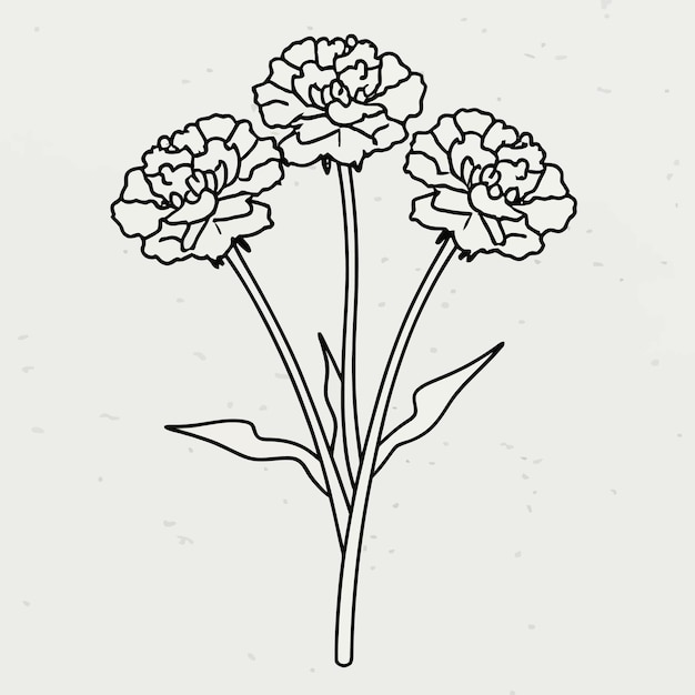 flower coloring page outline vector