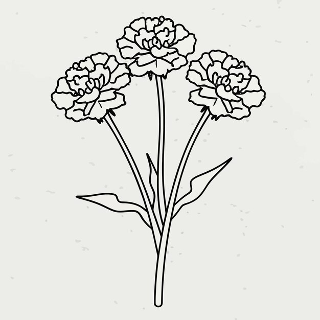 Vector flower coloring page outline vector