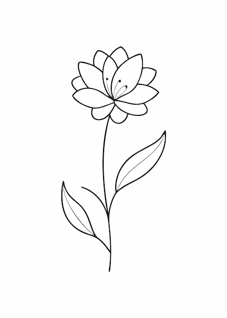 Vector flower continuous line art illustration on white background