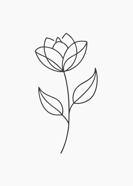 Vector flower continuous line art illustration on white background