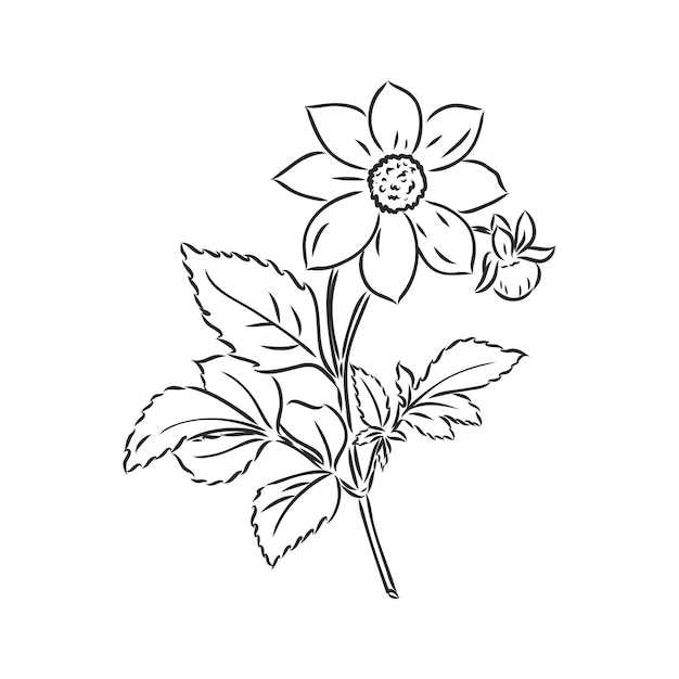 flower decor vector sketch on white background