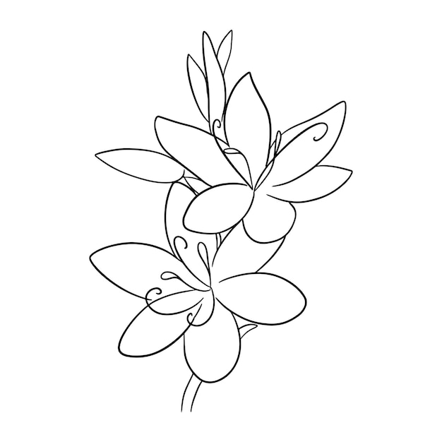 Flower drawing