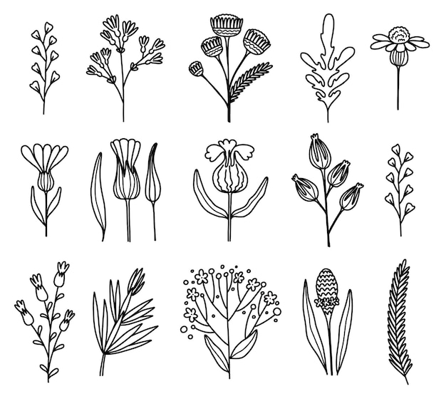 Flower graphic design Vector set of floral elements with hand drawn flowers