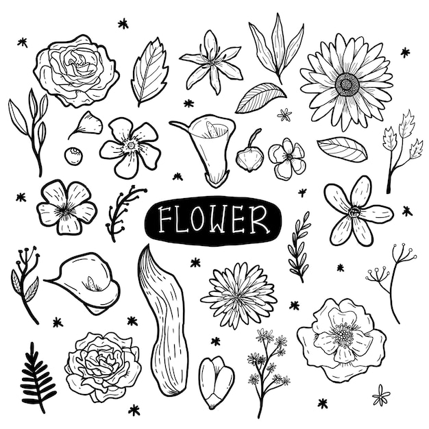 FLOWER HAND DRAWN DOODLE ILLUSTRATION