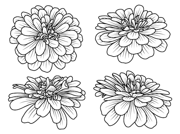 Flower Hand drawn sketch line art illustration