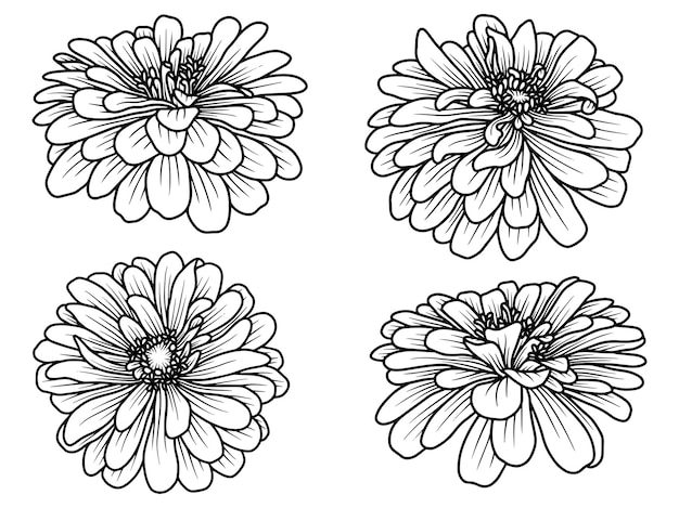 Flower Hand drawn sketch line art illustration