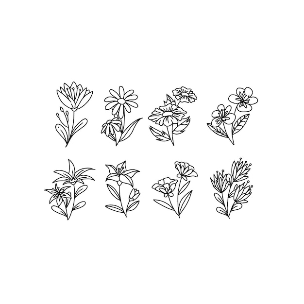 flower handrawn doodle illustrations vector set