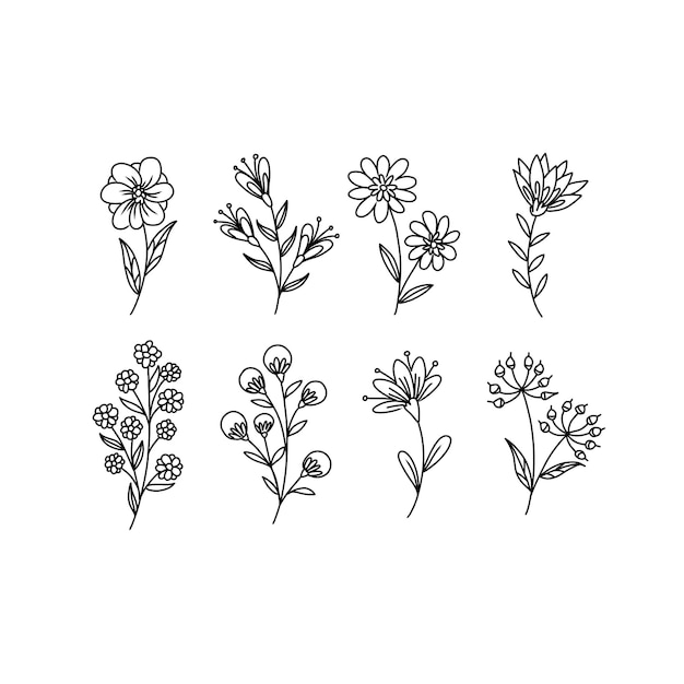 flower handrawn doodle illustrations vector set