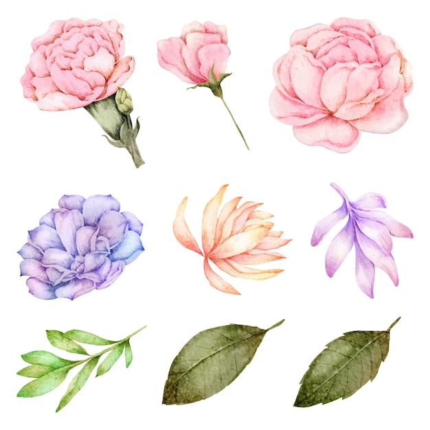 Flower and leaf element collection watercolor