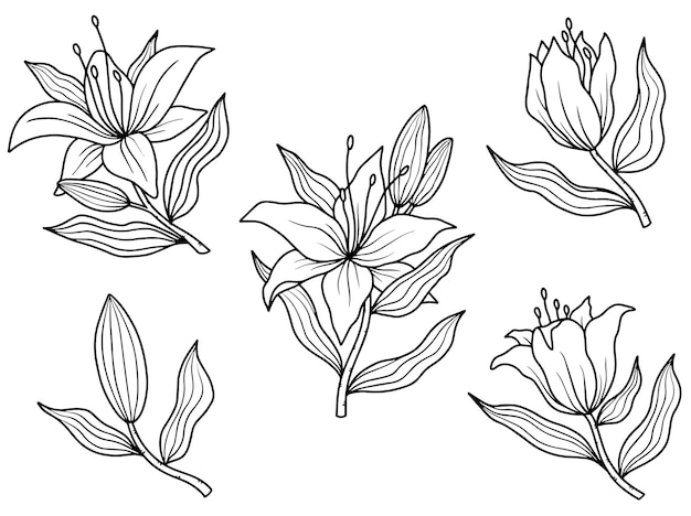 Flower line art arrangement