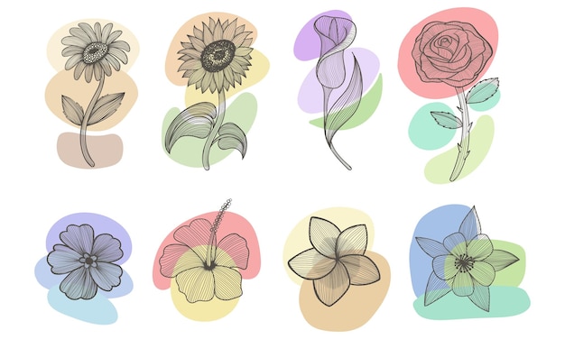 Flower line art boho aesthetic elements set vector illustration