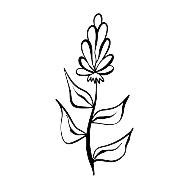 Flower in a linear style Beautiful botanical floral design The drawing of the plant is handdrawn Black outline on a white background