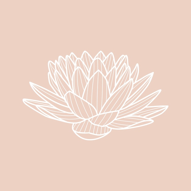 Flower lotus symbol health meditation