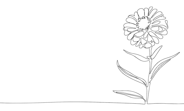 Flower one line continuous Line art Flower isolated on transparent background Hand drawn vector