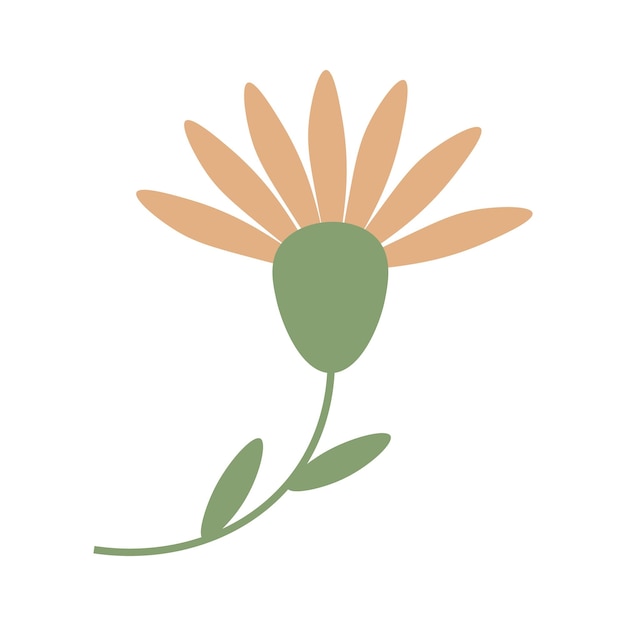 Flower orange vector isolated flat style