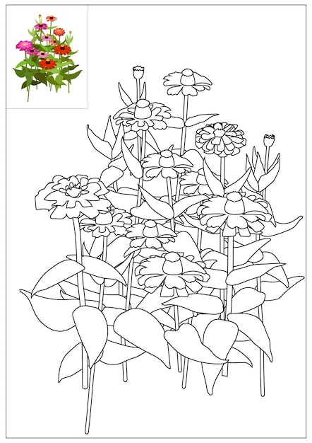 flower outline coloring page