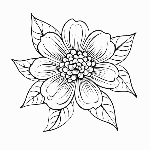 Vector flower outline vector illustration cartoon vector