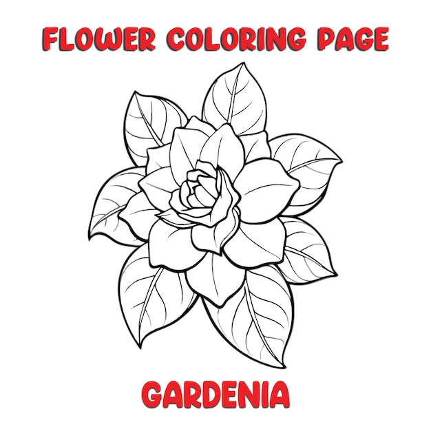 a flower painted on a white background with the words flower coloring