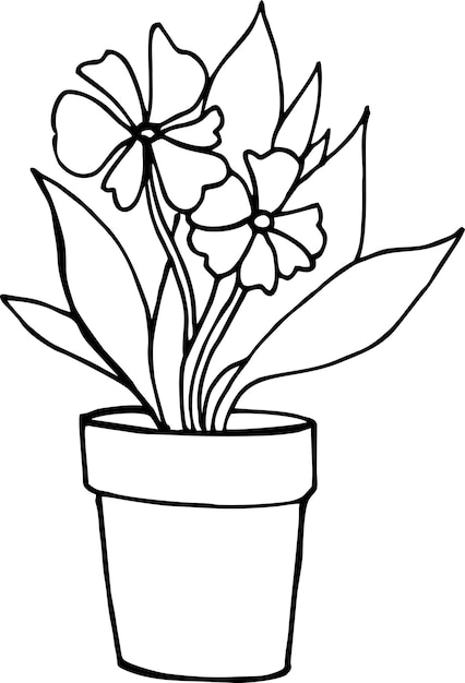 Flower in the pot house line art black and white sketch hand draw illustration