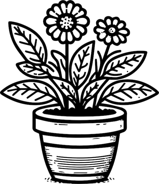 Vector flower and pot outline drawings on a white background