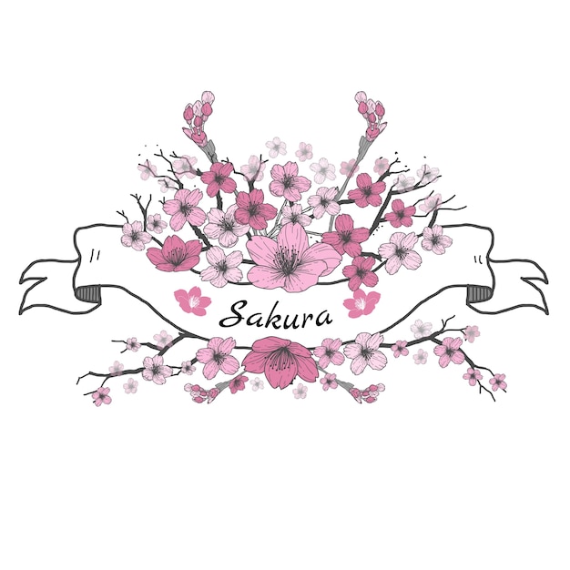 Flower ribbon of Sakura. Drawing and sketch on white background.