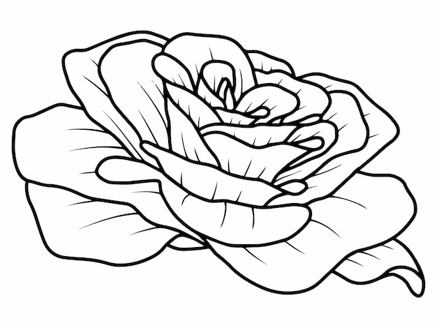 flower Rose sketch line art