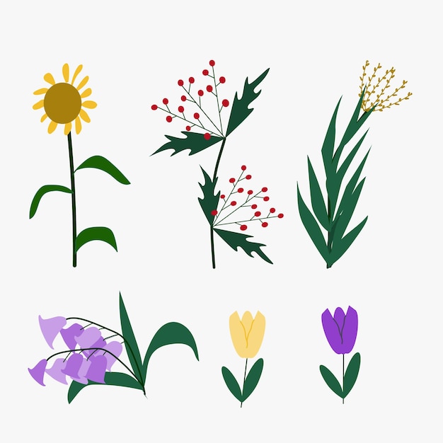 Flower set of crocus corn omela sunflower lily of the valley hello summer spring icons