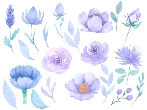 Flower set watercolor hand paint