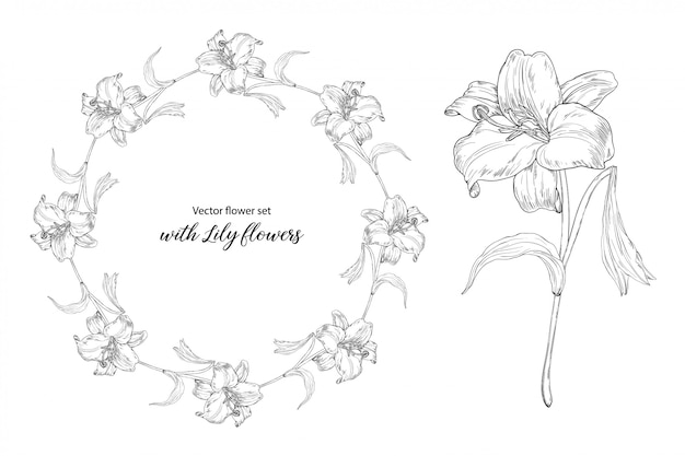 flower set with Lily flowers