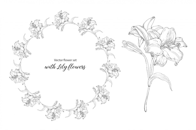 flower set with Lily flowers