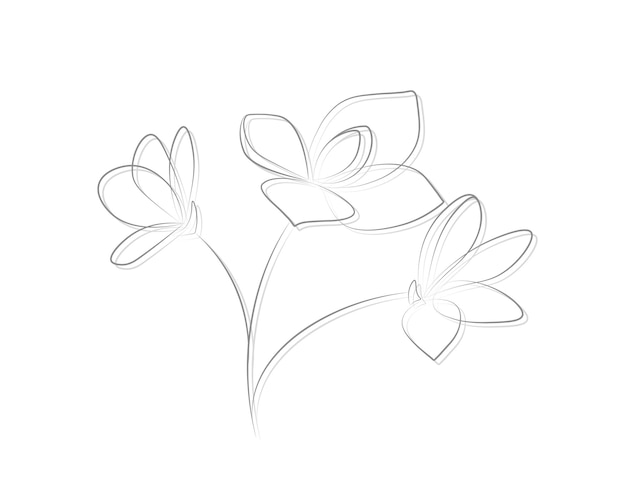 Flower silhouette isolated on white background Thin and graceful lines Three buds on a branch