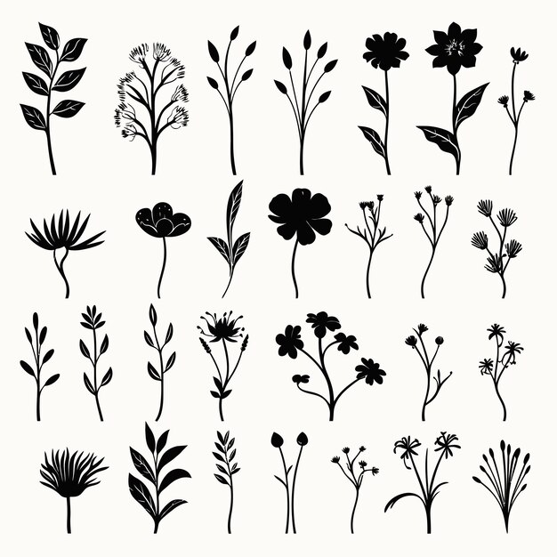 Vector flower silhouttes