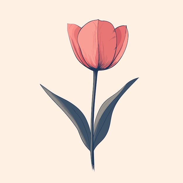 Vector flower tulip vector