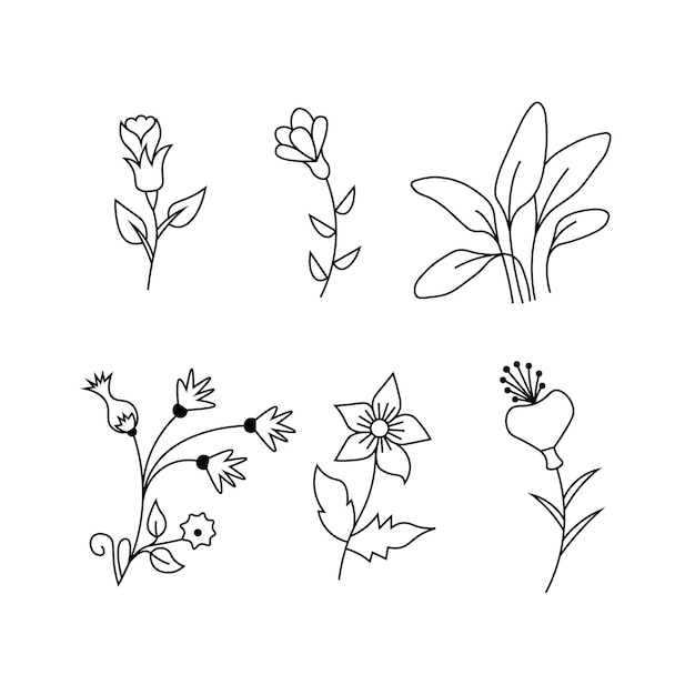 flower with branch outline vector floral line art drawing leaves illustration set premium ornaments