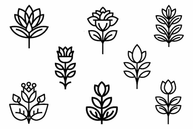 Flower With Leaf Elements Set Outline Vector Illustration On White Background