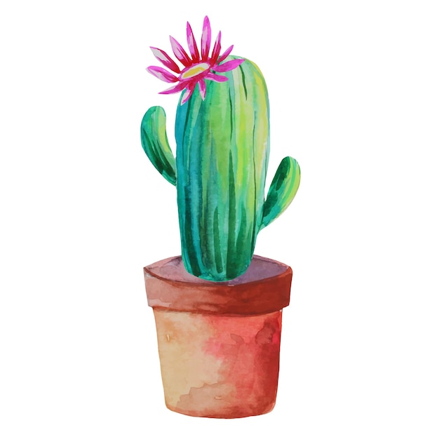 Flowering cactus in a pot illustration