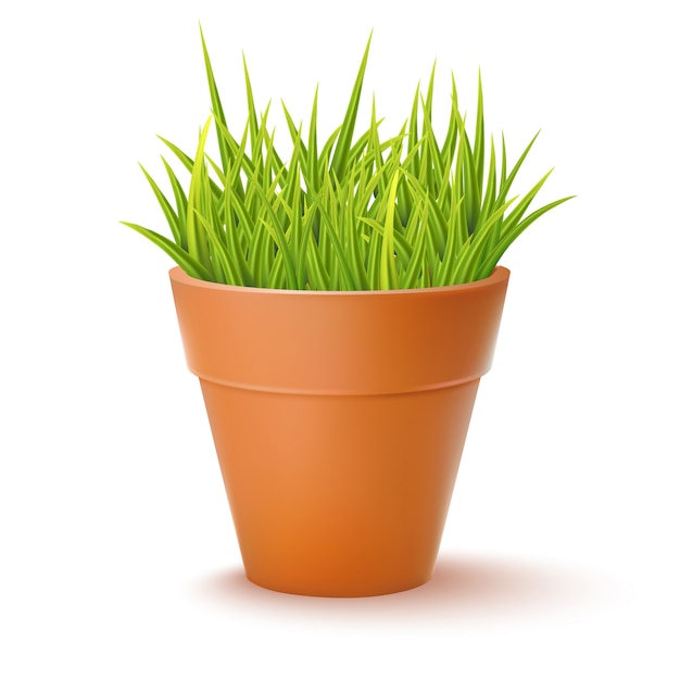 Flowerpot With Grass