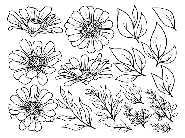 Flowers arrangement with hand drawn line art