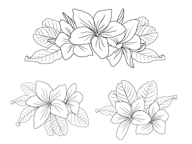 Flowers arrangement with hand drawn line art