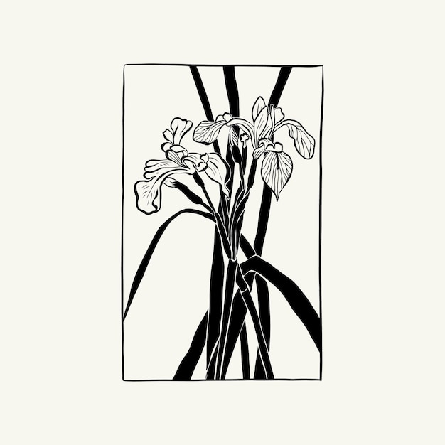 Flowers, Botanica illustration. Black ink, line, doodle style.