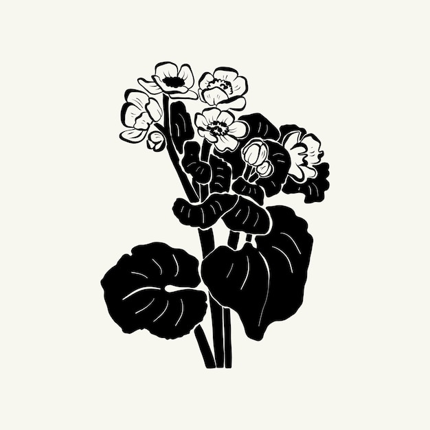 Flowers, Botanica illustration. Black ink, line, doodle style.