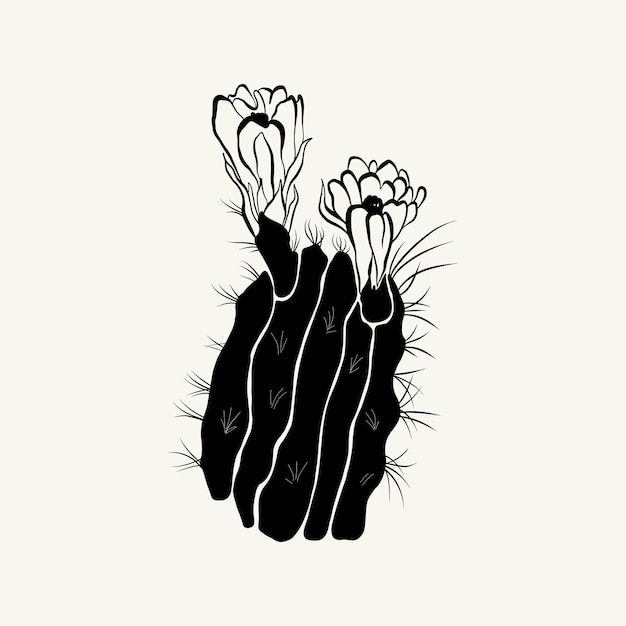 Flowers, Botanica illustration. Black ink, line, doodle style.