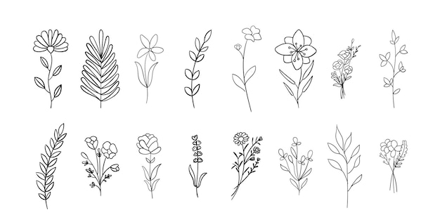 Flowers, botanical and leaves outline vector collection.