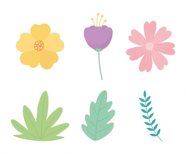 Flowers branch leaves foliage nature decoration icons set