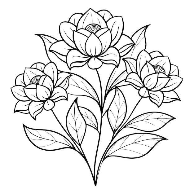 Vector flowers coloring pattern page kdp interiors line art black and white