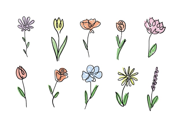 Flowers drawn in one line in vectorHand drawn minimalism in the form of flowersVector